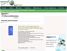 Tablet Screenshot of planete-du-net.fr